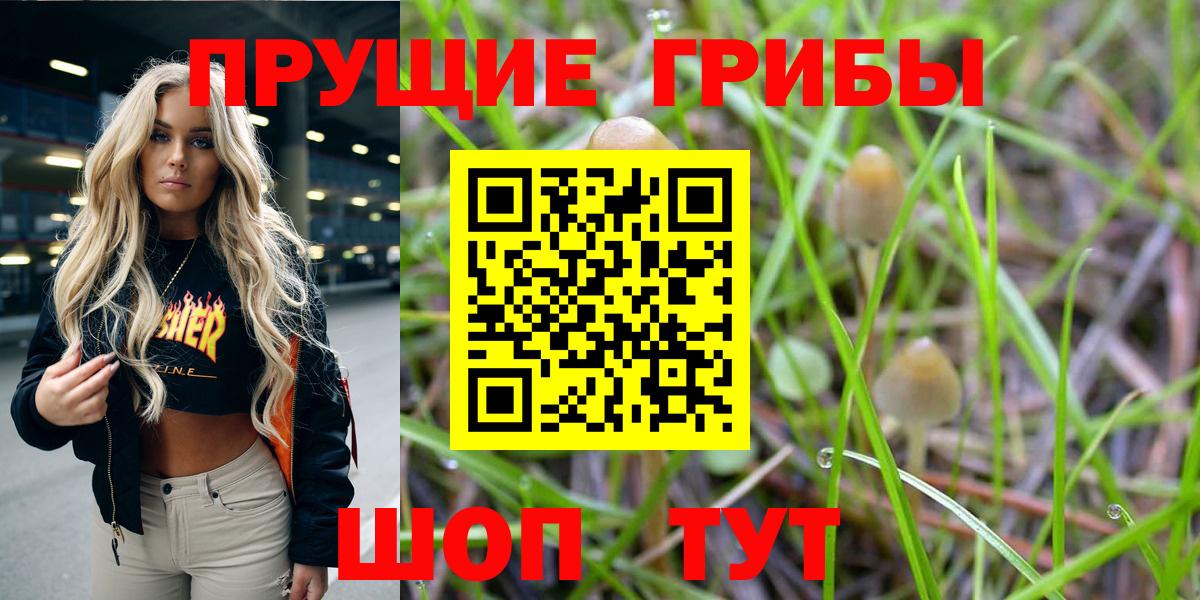 Псилоцибиновые грибы MAGIC MUSHROOMS  Вход с VPN  наркота  Псилоцибиновые грибы MAGIC MUSHROOMS  Похвистнево 